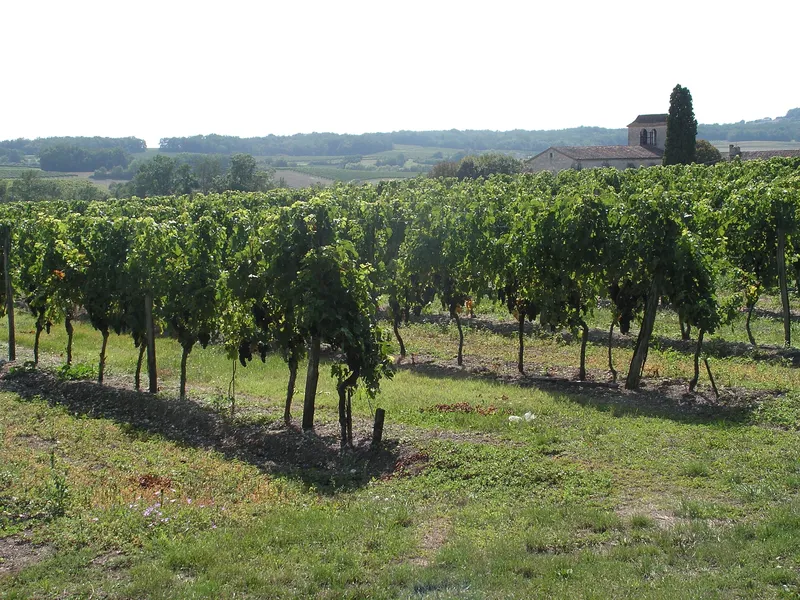 Vue de Mescoules, Dordogne